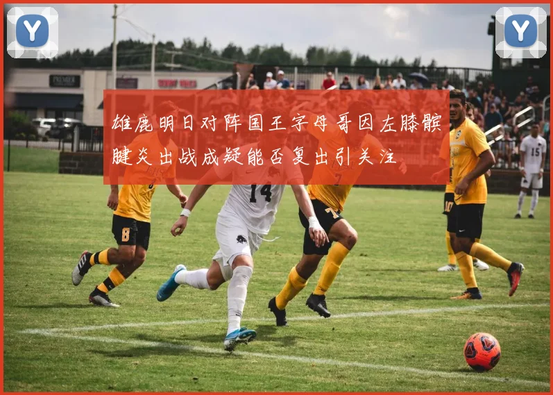 雄鹿明日对阵国王字母哥因左膝髌腱炎出战成疑能否复出引关注